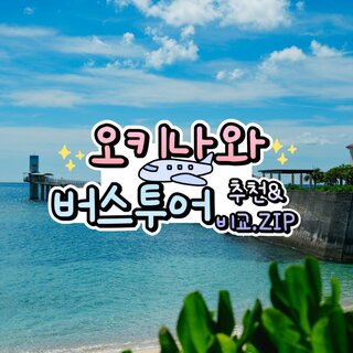 일본 오키나와 북부 버스투어 추천 비교 후기 비용