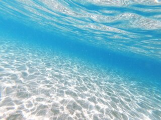 오키나와 북부 민나섬 투어