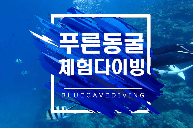 [중부] 푸른동굴 체험 다이빙