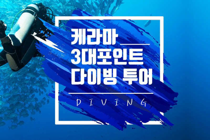[나하出] 케라마 3대 포인트 다이빙 투어